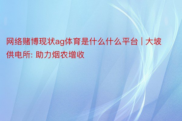 网络赌博现状ag体育是什么什么平台 | 大坡供电所: 助力烟农增收